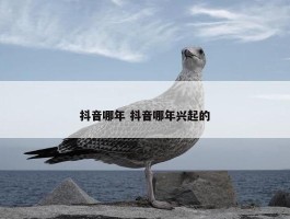 抖音哪年 抖音哪年兴起的