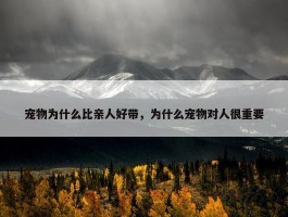 宠物为什么比亲人好带，为什么宠物对人很重要