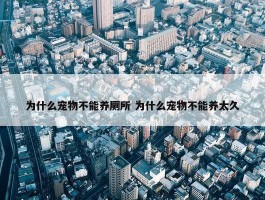 为什么宠物不能养厕所 为什么宠物不能养太久