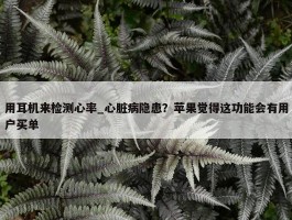 用耳机来检测心率_心脏病隐患？苹果觉得这功能会有用户买单