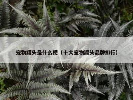 宠物罐头是什么梗（十大宠物罐头品牌排行）