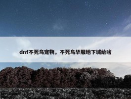 dnf不死鸟宠物，不死鸟华服地下城给啥