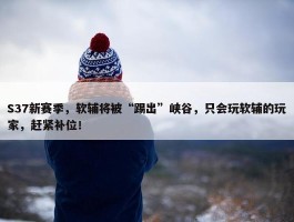 S37新赛季，软辅将被“踢出”峡谷，只会玩软辅的玩家，赶紧补位！