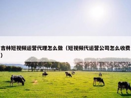 吉林短视频运营代理怎么做（短视频代运营公司怎么收费）