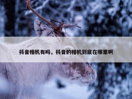 抖音相机有吗，抖音的相机到底在哪里啊