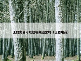 玉器类目可以短视频运营吗（玉器电商）