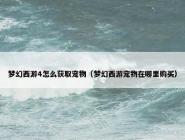 梦幻西游4怎么获取宠物（梦幻西游宠物在哪里购买）