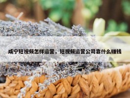 咸宁短视频怎样运营，短视频运营公司靠什么赚钱