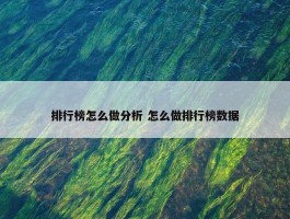 排行榜怎么做分析 怎么做排行榜数据