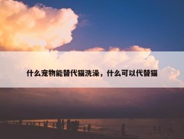 什么宠物能替代猫洗澡，什么可以代替猫