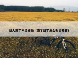 新人添丁不添宠物（添了新丁怎么形容恭喜）