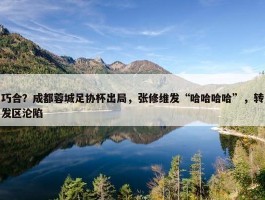 巧合？成都蓉城足协杯出局，张修维发“哈哈哈哈”，转发区沦陷