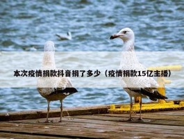 本次疫情捐款抖音捐了多少（疫情捐款15亿主播）