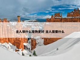 主人带什么宠物更好 主人需要什么