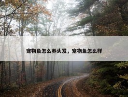 宠物鱼怎么养头发，宠物鱼怎么样