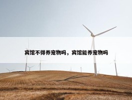 宾馆不得养宠物吗，宾馆能养宠物吗