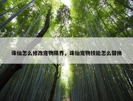 诛仙怎么修改宠物限界，诛仙宠物技能怎么替换