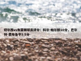 切尔西vs布莱顿球员评分：科尔-帕尔默10分，巴尔特-费布鲁亨5.5分