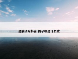 是鸽子呀抖音 鸽子啊是什么歌