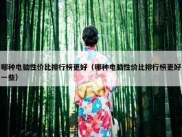 哪种电脑性价比排行榜更好（哪种电脑性价比排行榜更好一些）