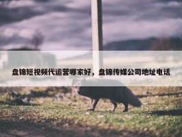 盘锦短视频代运营哪家好，盘锦传媒公司地址电话