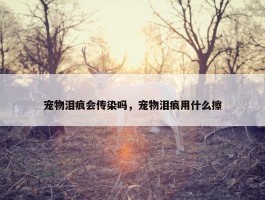 宠物泪痕会传染吗，宠物泪痕用什么擦