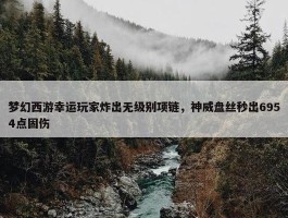 梦幻西游幸运玩家炸出无级别项链，神威盘丝秒出6954点固伤