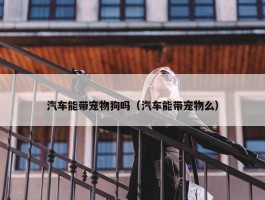 汽车能带宠物狗吗（汽车能带宠物么）