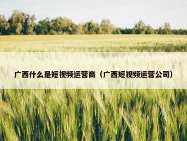 广西什么是短视频运营商（广西短视频运营公司）