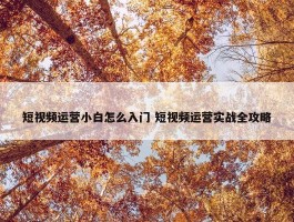 短视频运营小白怎么入门 短视频运营实战全攻略