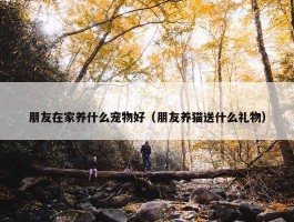 朋友在家养什么宠物好（朋友养猫送什么礼物）