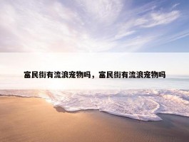 富民街有流浪宠物吗，富民街有流浪宠物吗