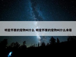 明星怀里的宠物叫什么 明星怀里的宠物叫什么来着