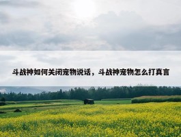 斗战神如何关闭宠物说话，斗战神宠物怎么打真言