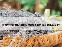 短视频运营岗位赚钱吗（做短视频运营工资能拿多少）