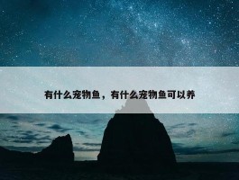 有什么宠物鱼，有什么宠物鱼可以养