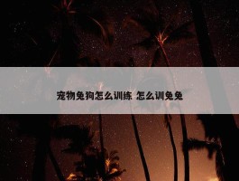 宠物兔狗怎么训练 怎么训兔兔