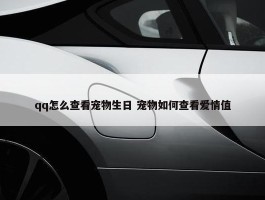 qq怎么查看宠物生日 宠物如何查看爱情值