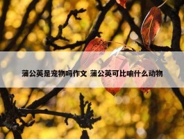 蒲公英是宠物吗作文 蒲公英可比喻什么动物