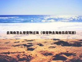 去海南怎么带宠物过海（带宠物去海南岛自驾游）