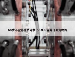 60岁不宜养什么宠物 60岁不宜养什么宠物狗