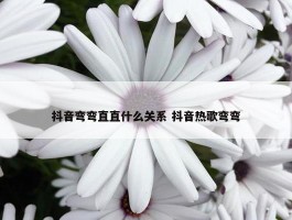 抖音弯弯直直什么关系 抖音热歌弯弯