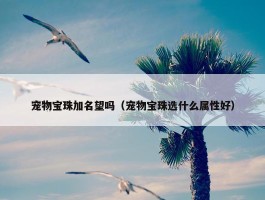 宠物宝珠加名望吗（宠物宝珠选什么属性好）