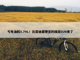 亏电油耗3.79L！比亚迪最便宜的插混SUV来了