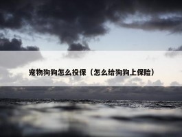 宠物狗狗怎么投保（怎么给狗狗上保险）