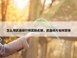 怎么领武器排行榜奖励皮肤，武器碎片如何获得