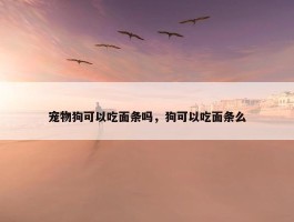 宠物狗可以吃面条吗，狗可以吃面条么