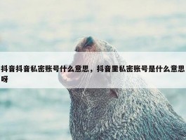 抖音抖音私密账号什么意思，抖音里私密账号是什么意思呀