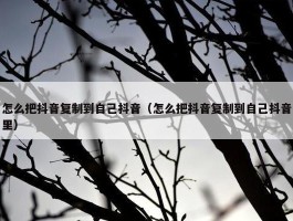 怎么把抖音复制到自己抖音（怎么把抖音复制到自己抖音里）