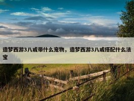 造梦西游3八戒带什么宠物，造梦西游3八戒搭配什么法宝